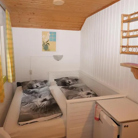 In With Mountain Views, Cleaning Included Hippach